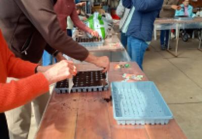 pluktuin voor beginners - workshop