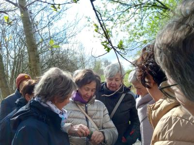 lentewandeling "de Gaendijk" te Moerzeke & Kastel 24 maart 2024 
