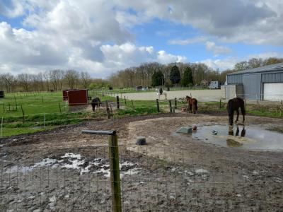 lentewandeling "de Gaendijk" te Moerzeke & Kastel 24 maart 2024 
