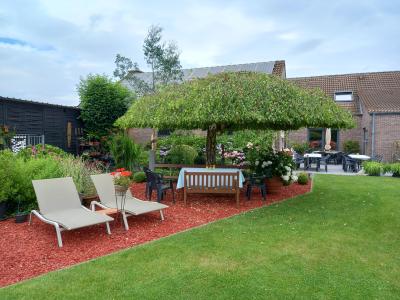 bezoek tuin Martin Claessens en zijn vrouw te Baasrode op 30-06-2024