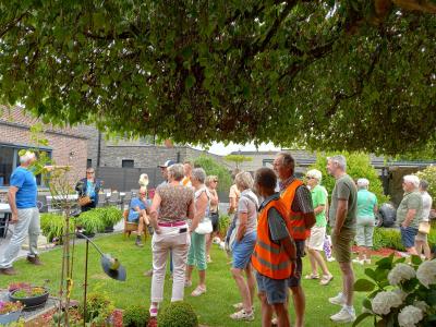 bezoek tuin Martin Claessens en zijn vrouw te Baasrode op 30-06-2024