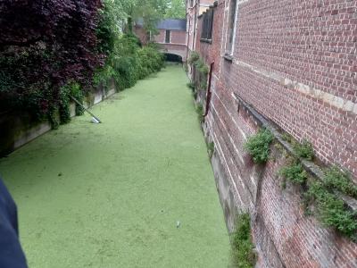 stadswandeling mechelen met stadsgids