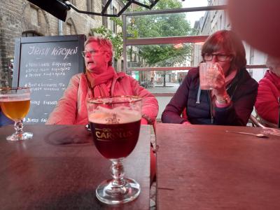 stadswandeling mechelen met stadsgids