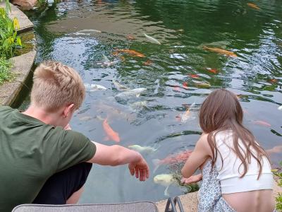 Open tuinen bij gilde leden Bruno en Liselotte Ulders - Clarysse in de Bloemenstraat te Moerzeke