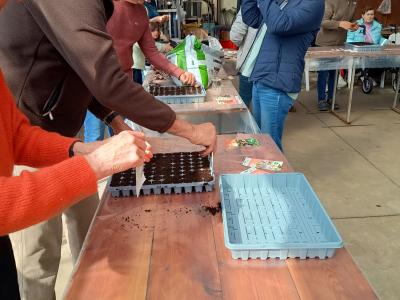 pluktuin voor beginners - workshop