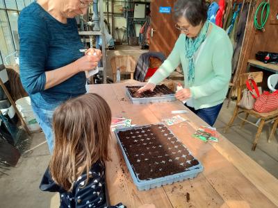 pluktuin voor beginners - workshop