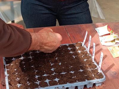 pluktuin voor beginners - workshop