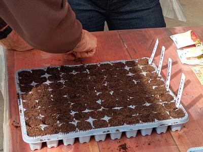 pluktuin voor beginners - workshop