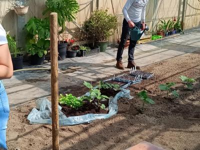 pluktuin voor beginners - workshop