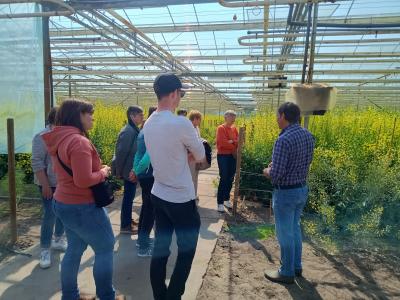 pluktuin voor beginners - workshop