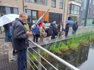 stadswandeling mechelen met stadsgids